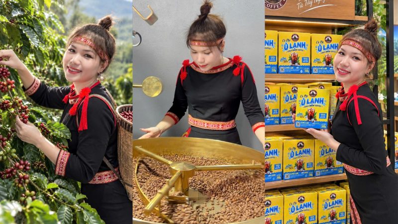 Á hậu Ngô Thị Thảo đưa thương hiệu HIFA Coffee đến với Miss Asian 2026